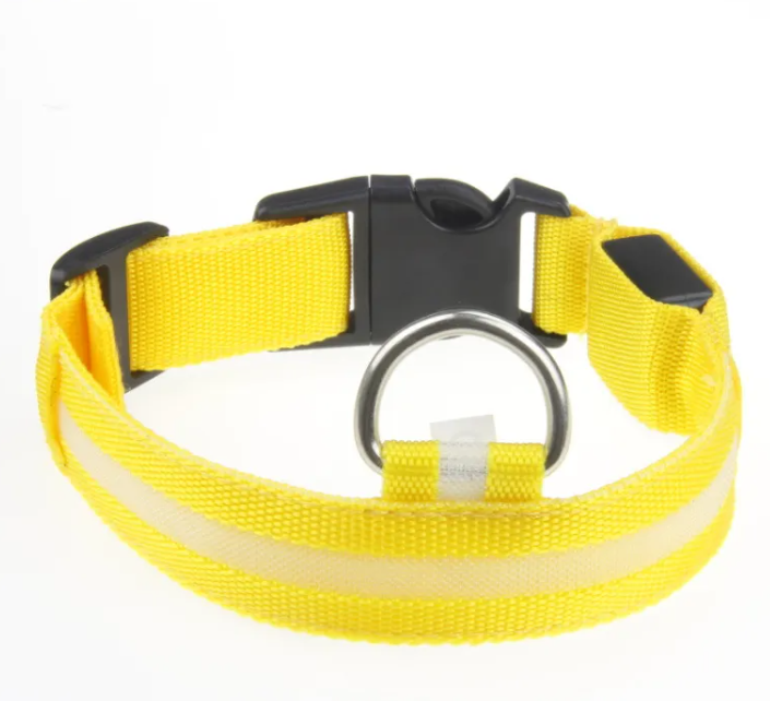LED Dog Collar